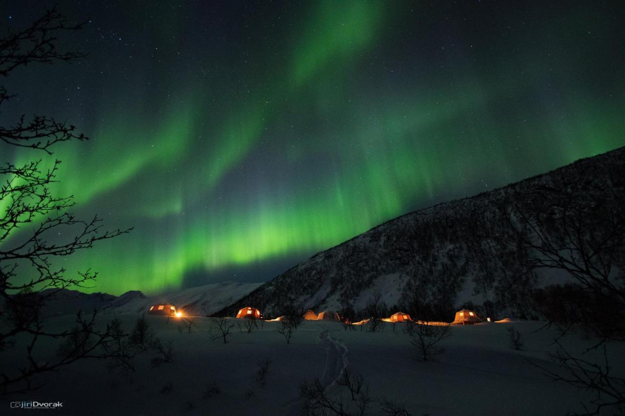 Camp North Tour Tromso Exterior photo